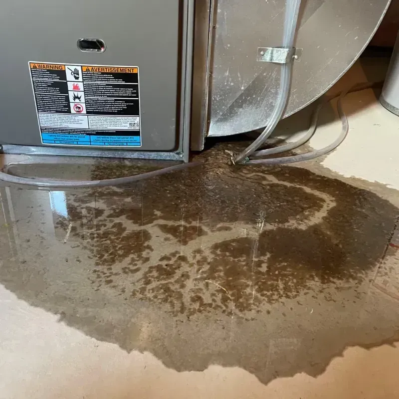 Appliance Leak Cleanup in Bent Creek, NC